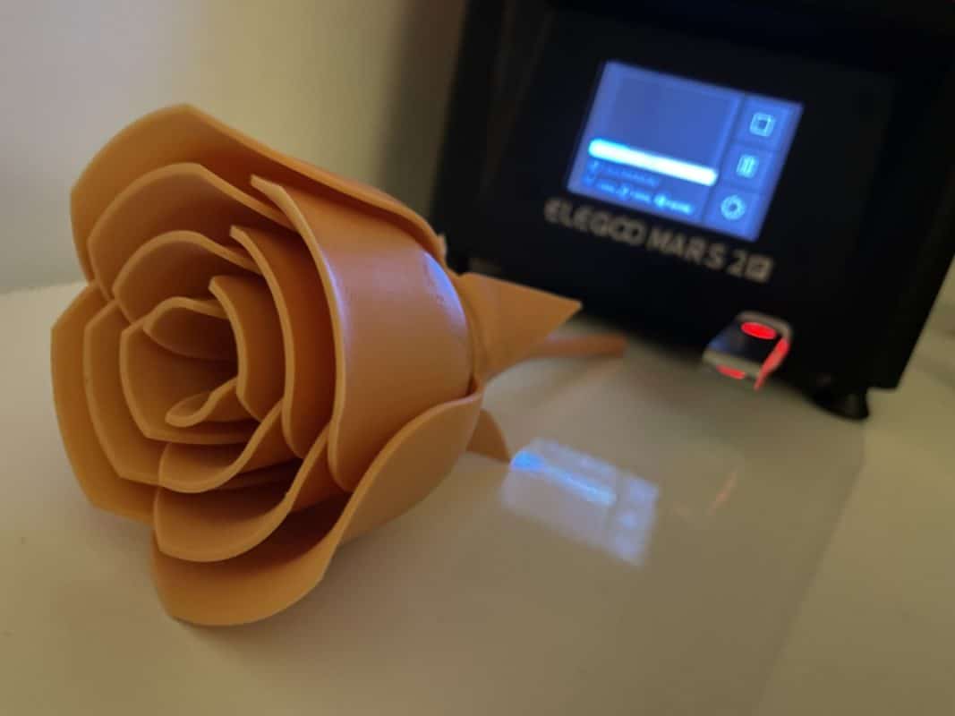Elegoo Mars 2 Pro Review - Flower & Petals 2 - 3D Printerly