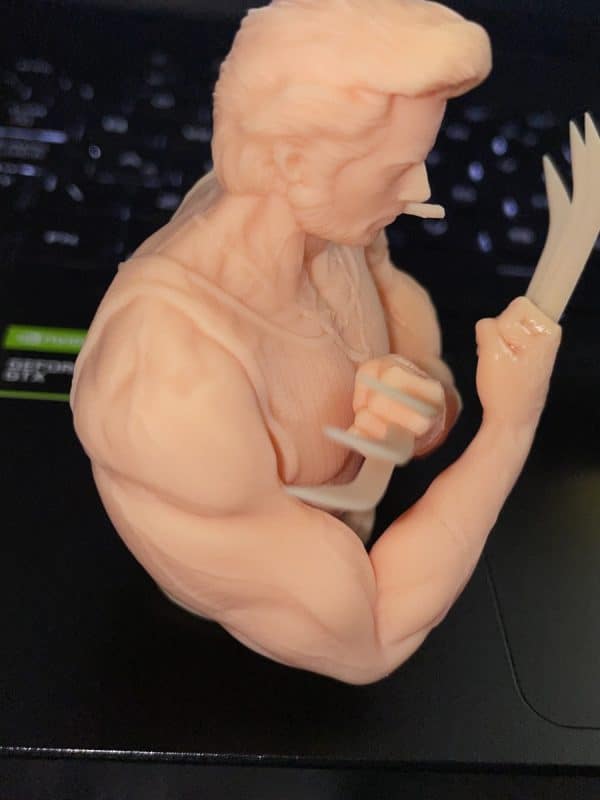 Anycubic Photon Ultra Review - Wolverine Model Closeup 3 - 3D Printerly