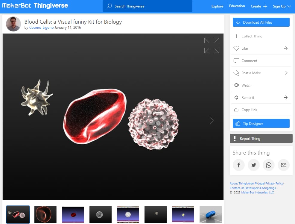 30 Best 3D Prints for School - 29. Blood Cells Visual Kit - 3D Printerly