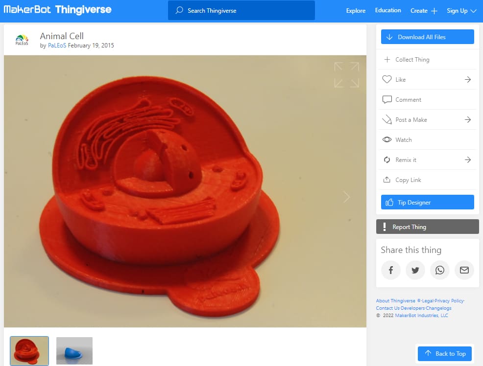 30 Best 3D Prints for School - 9. Animal Cell - 3D Printerly