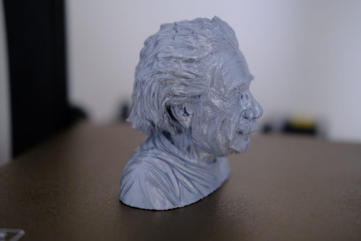Anycubic Kobra 2 Review - Einstein Bust 1 - 3D Printerly
