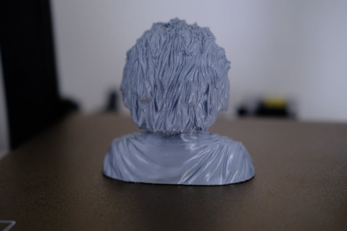 Anycubic Kobra 2 Review - Einstein Bust 3 - 3D Printerly