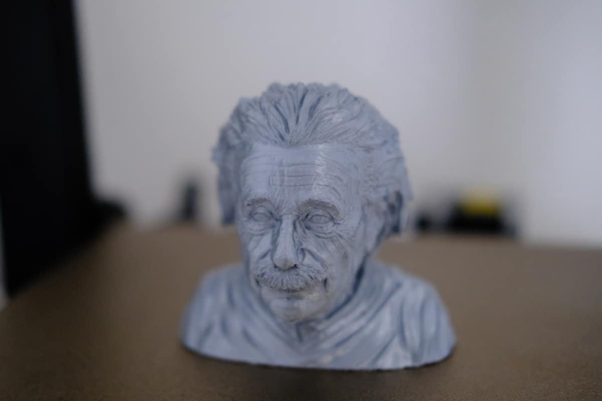 Anycubic Kobra 2 Review - Einstein Bust - 3D Printerly